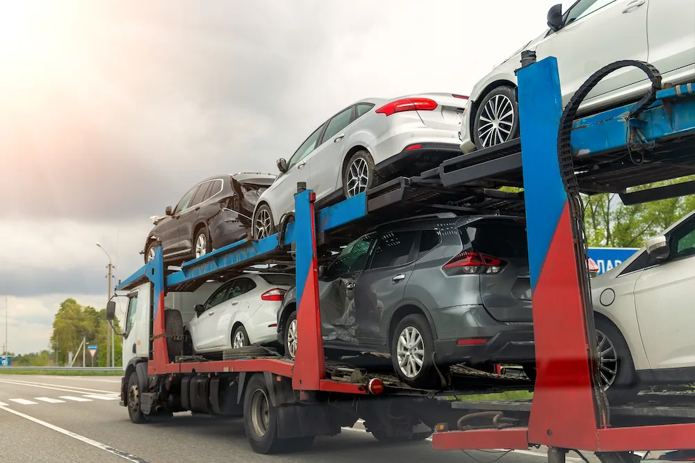Domestic Transport